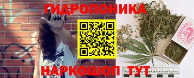ALPHA PVP Канаш