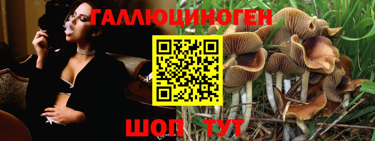 Лесной  Галлюциногенные грибы ЛСД  купить наркоту  Вход с VPN  Псилоцибиновые грибы MAGIC MUSHROOMS 